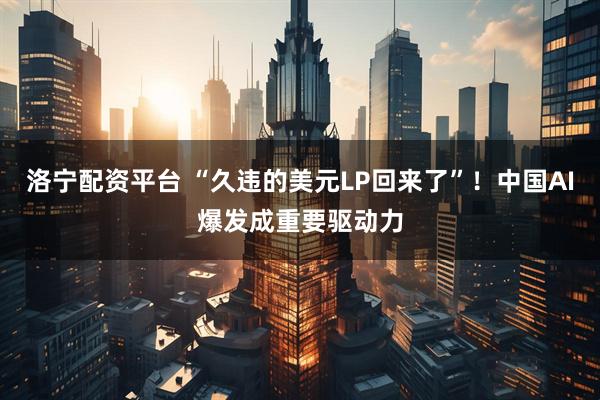 洛宁配资平台 “久违的美元LP回来了”！中国AI爆发成重要驱动力