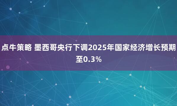点牛策略 墨西哥央行下调2025年国家经济增长预期至0.3%